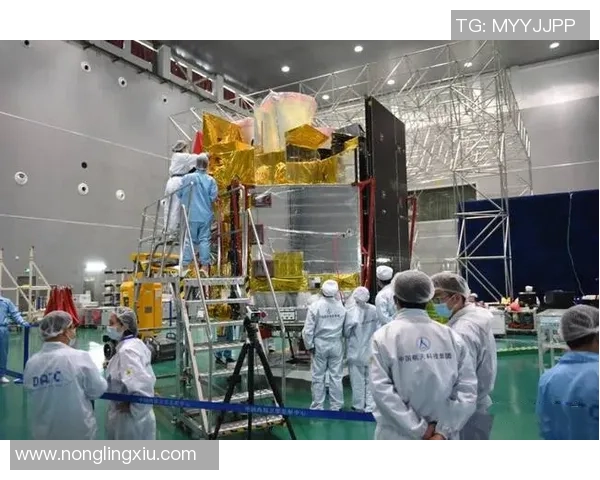 专访乒乓球明星赵强揭秘他成功背后的训练与心路历程