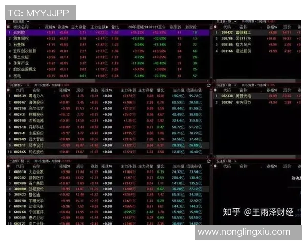 南京攀岩队在马拉松大满贯中的速度表现分析与点评