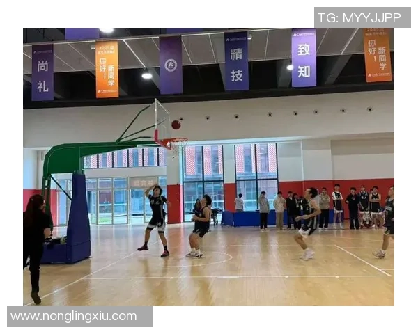 广州篮球队比赛经验的变革与热议探讨新策略与未来发展方向