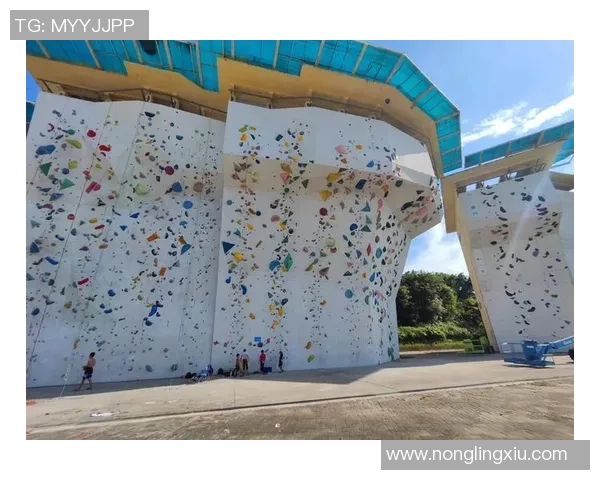 广州攀岩队防反战术深度解析与实战应用探讨