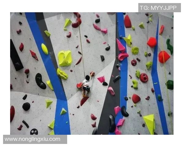 杭州攀岩队在节奏把控中展现实力与不足的深度分析