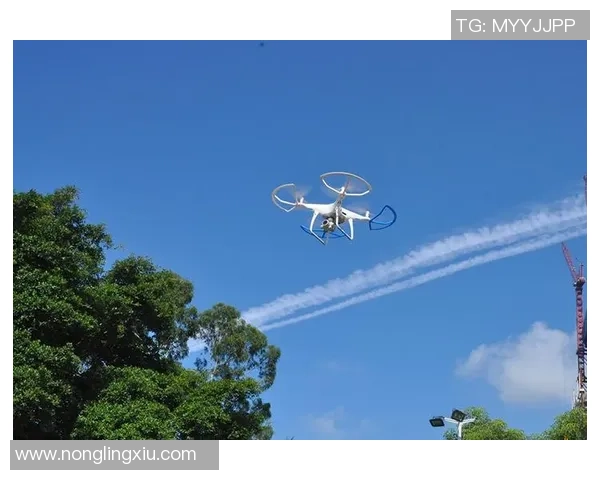 深圳极限运动队荣登灵活性排行榜第六名展现出色竞技实力与团队协作 深圳极限运动队荣登灵活性排行榜第六名展现出色竞技实力与团队协作