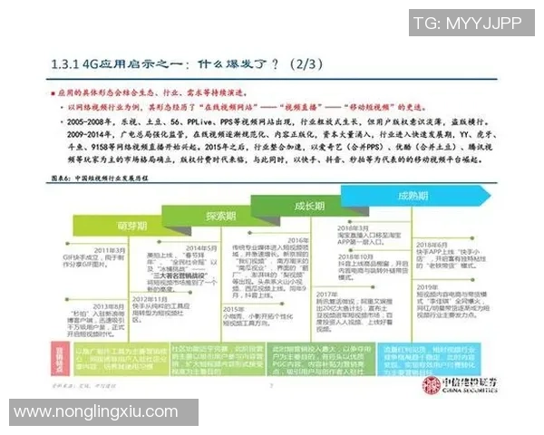 深圳排球队实力对比深度解析与未来发展展望