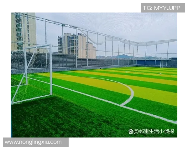 南海足球场：激情四溢的绿茵场地见证梦想与荣耀的交汇